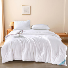 内外全棉加厚保暖双人冬被