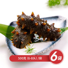 大连瓦房店地标深海特大海参量贩装